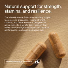 Male Hormone Support Stack